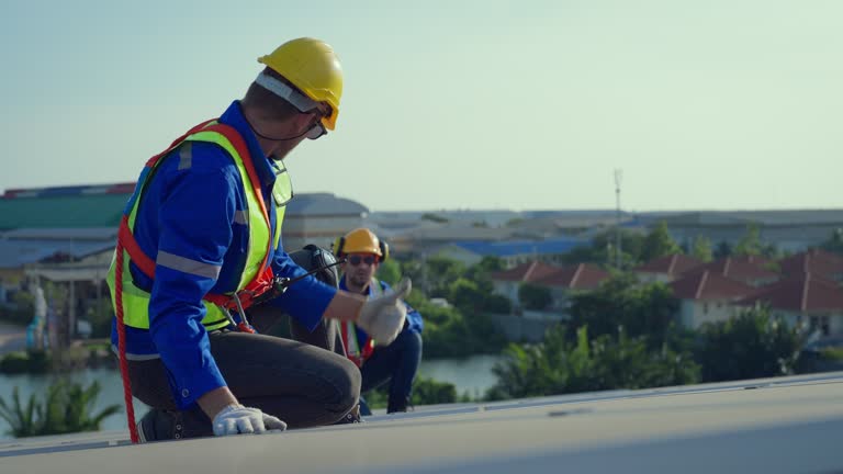 Best Roof Moss and Algae Removal  in Amesti, CA
