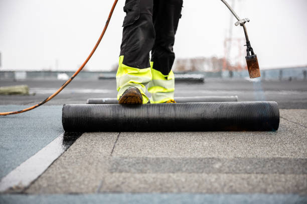 Best Solar Panel Roofing Installation  in Amesti, CA